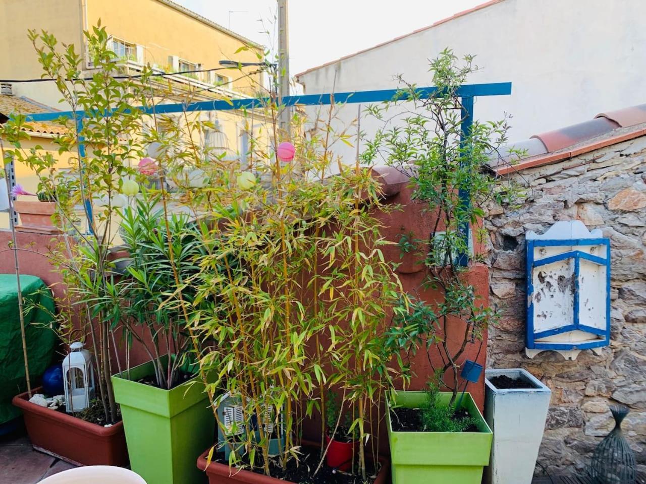 Sète Maison De Maitre, Coeur De Ville. מראה חיצוני תמונה